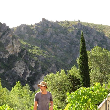 Villa Ripaud, Private River Swimming, Hot Tub Villeseque-des-Corbieres エクステリア 写真