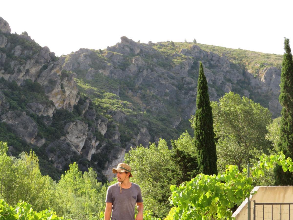 Villa Ripaud, Private River Swimming, Hot Tub Villeseque-des-Corbieres エクステリア 写真